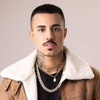 Foto do artista MC Livinho